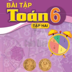 Bài tập Toán 6 tập 2 Cánh diều PDF