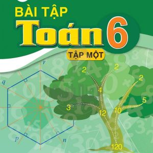 Bài tập Toán 6 tập 1 - PDF