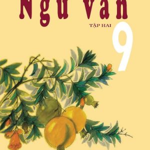 Sách Ngữ Văn 9 Tập 2 PDF