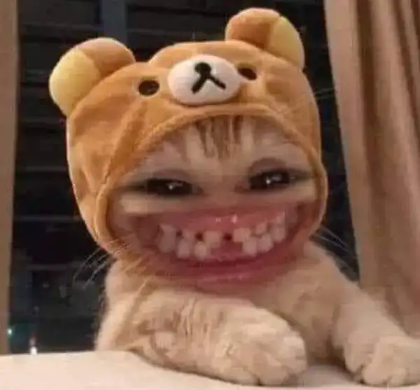 meme mèo cười