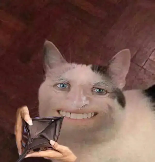 meme mèo cười
