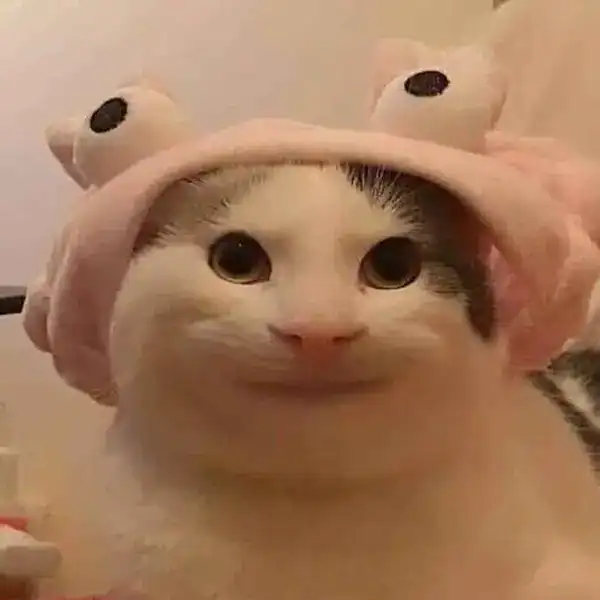 meme mèo cười